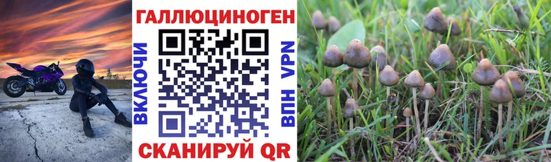 Галлюциногенные грибы GOLDEN TEACHER  Учалы 